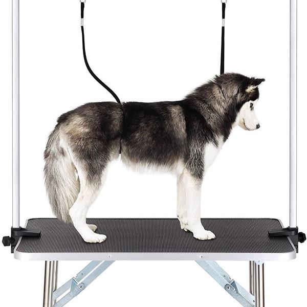 Pet Grooming Table