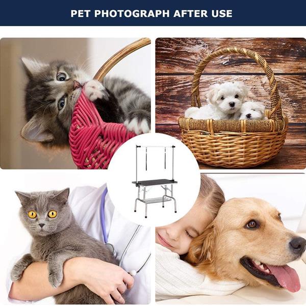 Pet Grooming Table