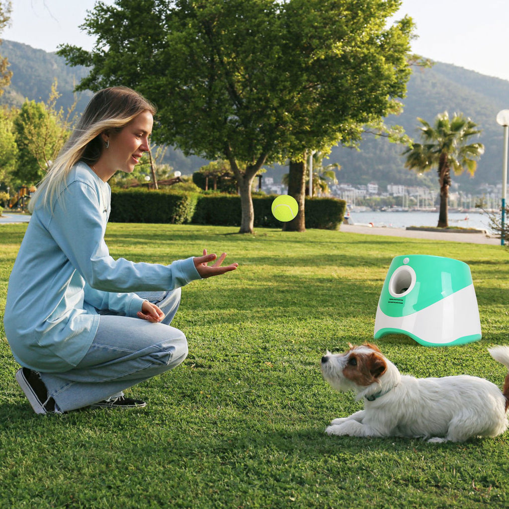 1Pc Automatic Dog Ball Launcher Included 6 Tennis Balls Dog With 3 Adjustable Launch Distance Interactive Ball Thrower Fetch Machine For Small Medium Dogs